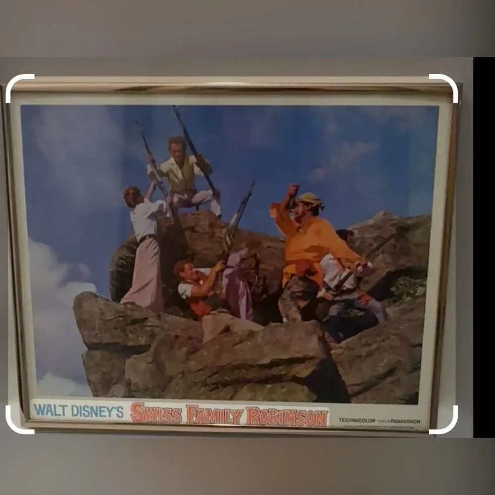 Walt Disney Swiss Family Robinson 11 X 14 In Framed Wall Art 1968 Technicolor